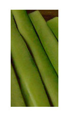 Making Sushi, slices of cucumber